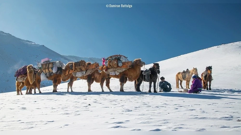 Эскертүү: эртеңден баштап Монголиянын көпчүлүк аймактарында күчтүү суук күтүлүүдө