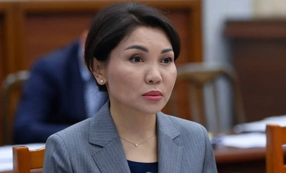 Эльвира Сурабалдиева избрана председателем комитета по международным делам ЖК