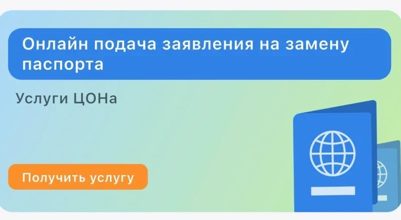 Эми чет өлкөгө паспортту онлайн алмаштырууга болот – «Тундукта» жаңы кызмат
