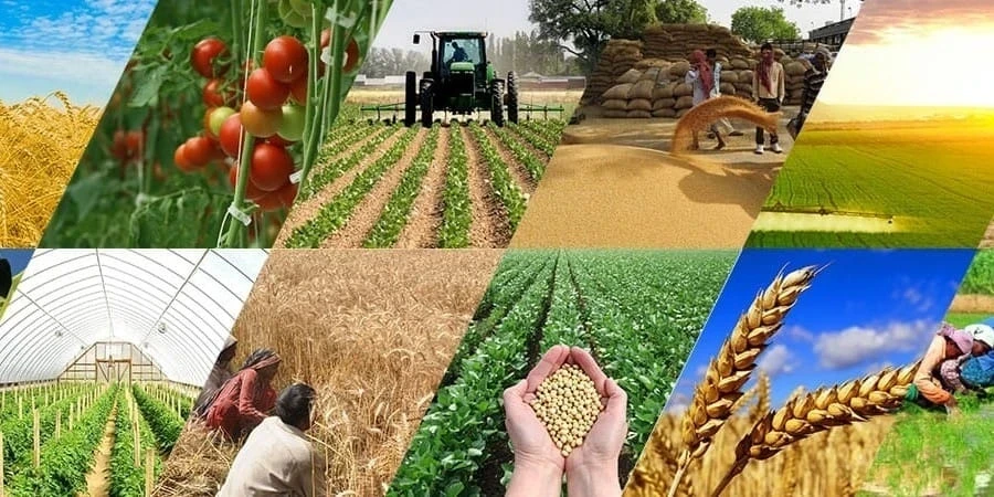 Сельхозпродукция Кыргызстандын 80ден ашык өлкөнүн рынокторун багынтууда