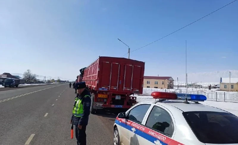 Кыргызстанда бир жумада 200дөн ашык мас айдоочулар аныкталды