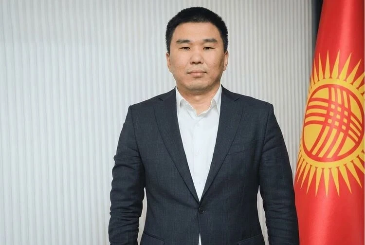 Эльнара Субакожоева санариптик өнүгүү министринин орун басары болуп дайындалды