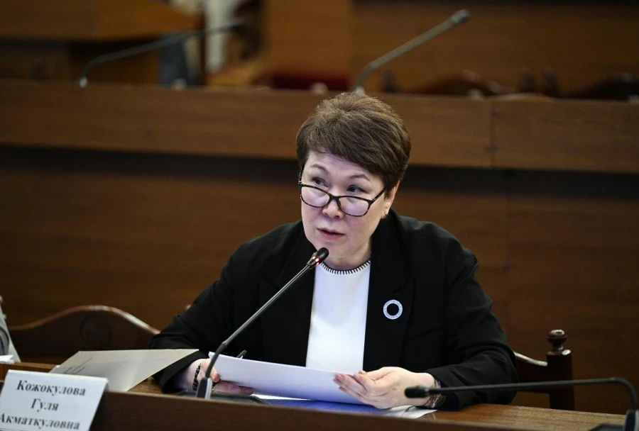 Депутат заявила о сокращении квот на лечение кыргызстанцев в Турции