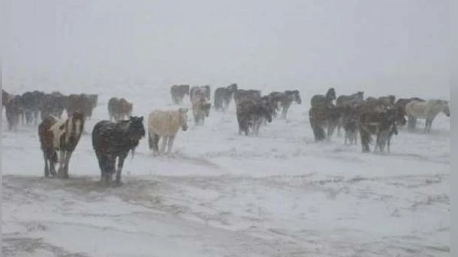 Warnings about adverse weather conditions