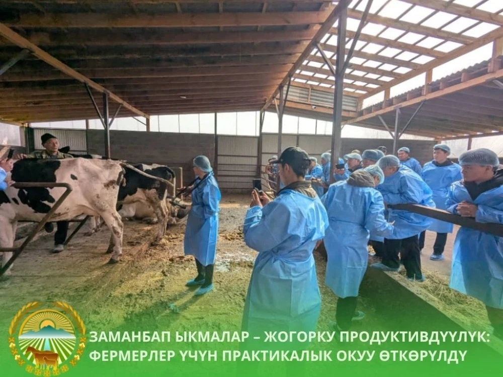 Фермеров Ошской области обучили современным методам животноводства