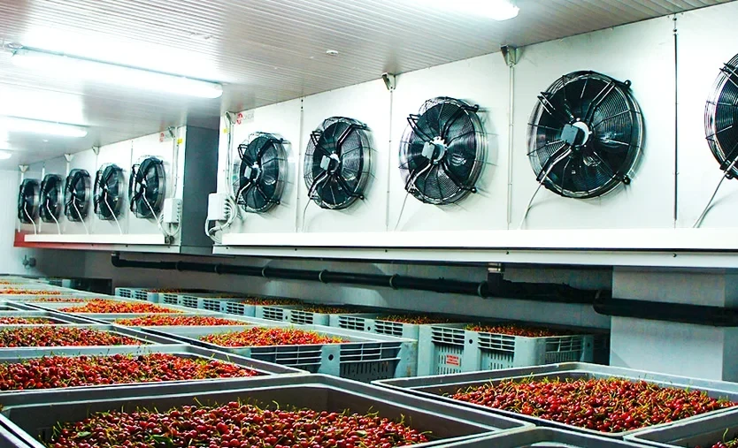 В Чуйской области построят морозильный комплекс