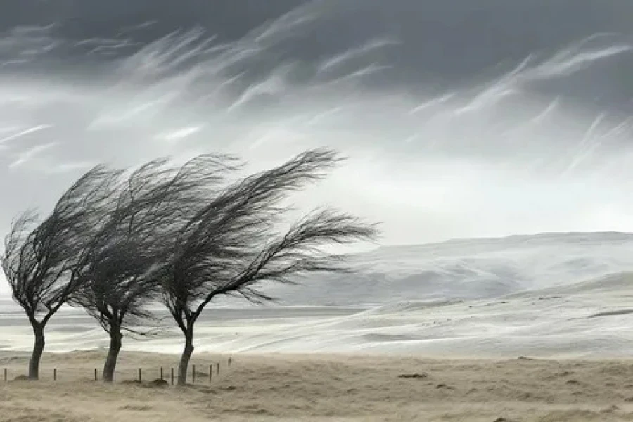 Storm Warning: Strong Winds Expected in the Capital and Chuy Region