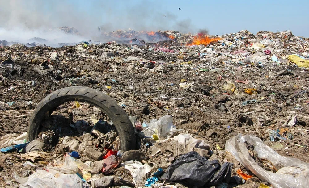 2025-жылы Кыргызстанда экологиялык мыйзамдарды бузуунун 10 миңден ашык учурлары аныкталды