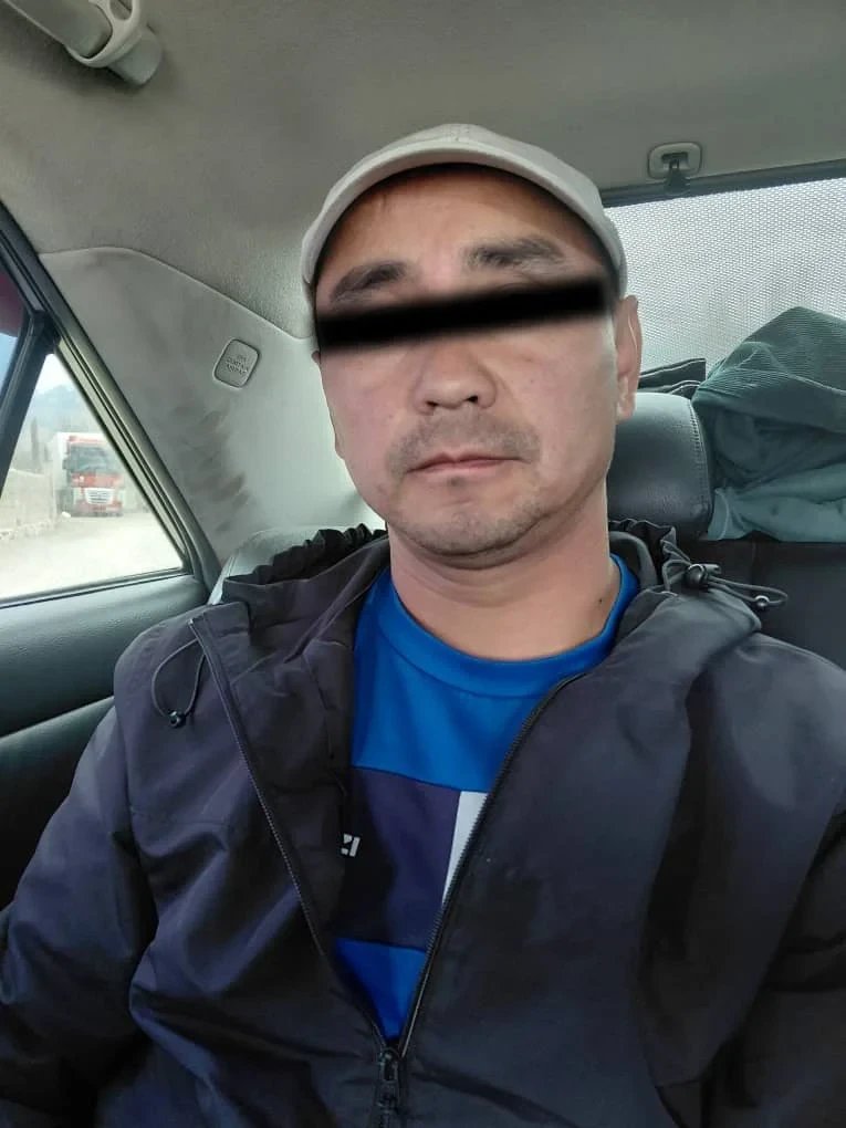 Кармоо: Кыргыз жараны 10 тайлакты мыйзамсыз чет өлкөгө чыгарууга аракет кылган