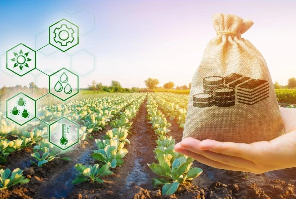 Минсельхоз КР утвердил 9 масштабных проектов льготного кредитования