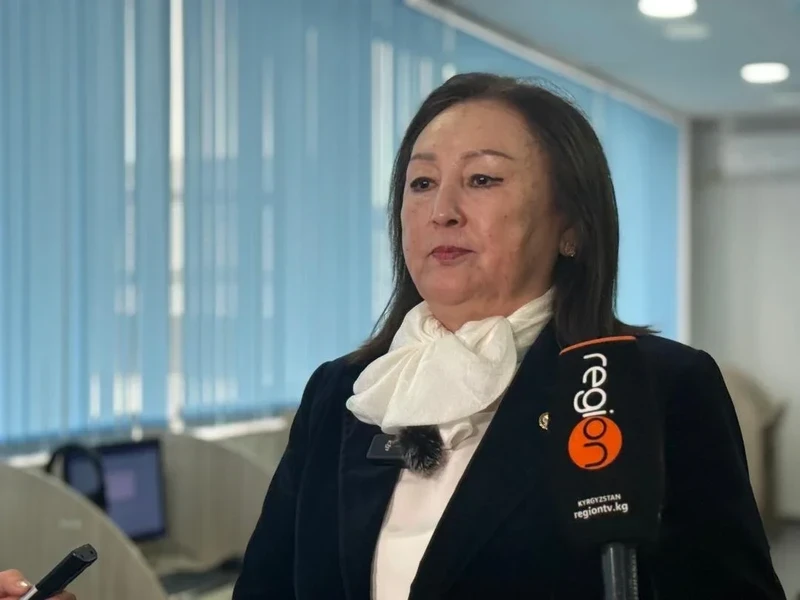 «Кыргызтесттеги» кезектер. Ведомствонун директору түшүндүрмө берди