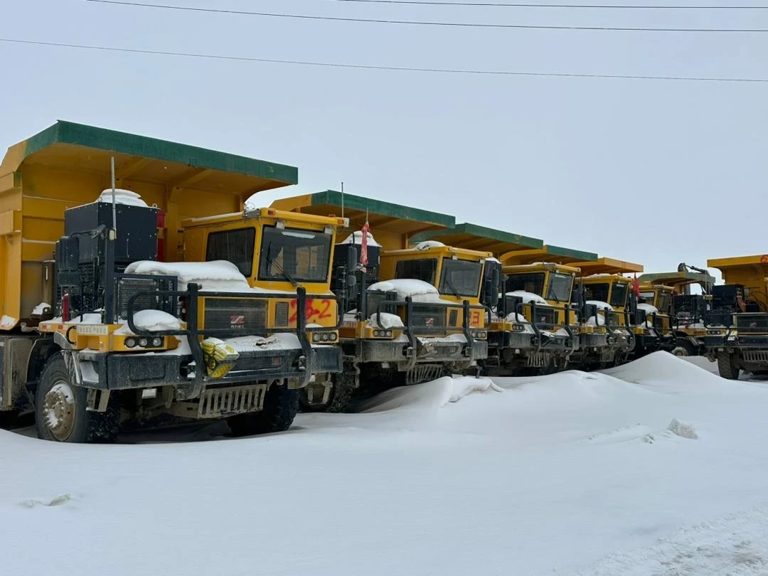 Таможня Кытайдан Кыргызстанга авто алып келүүдө массалык жалгандыктарды ачты