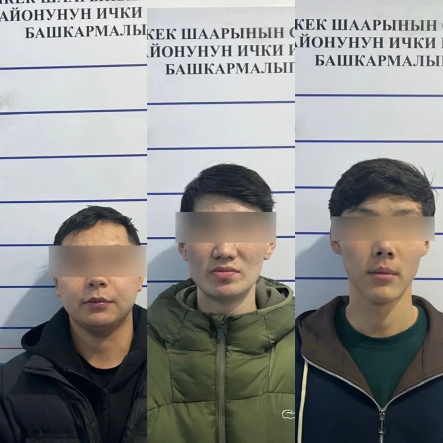 In Bishkek, fake security service employees swindled 12 million soms