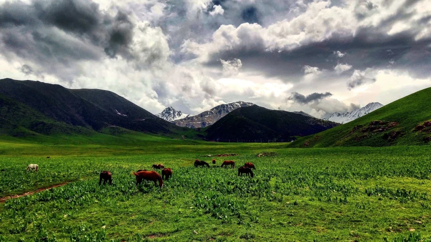 A New Method for Assessing Pastures Developed in Kyrgyzstan