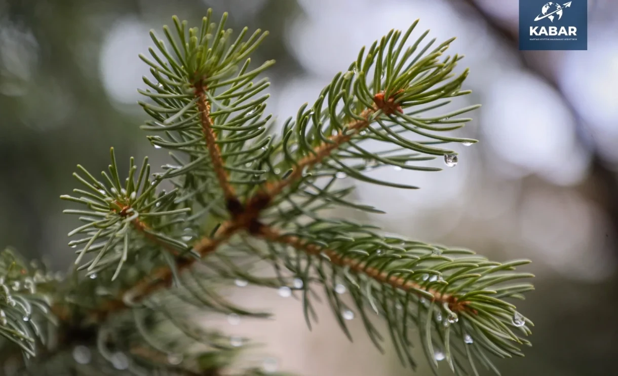 Rain, Snow, and Strong Winds Expected in Kyrgyzstan