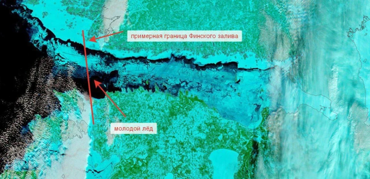 Финляндия булуңу 15 жылда биринчи жолу толугу менен муз менен капталды