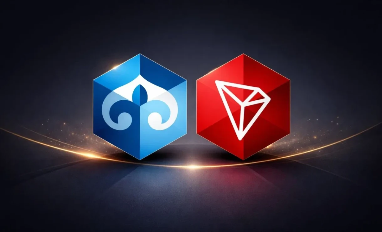 КР и TRON обсудили стратегическое сотрудничество в развитии виртуальных активов