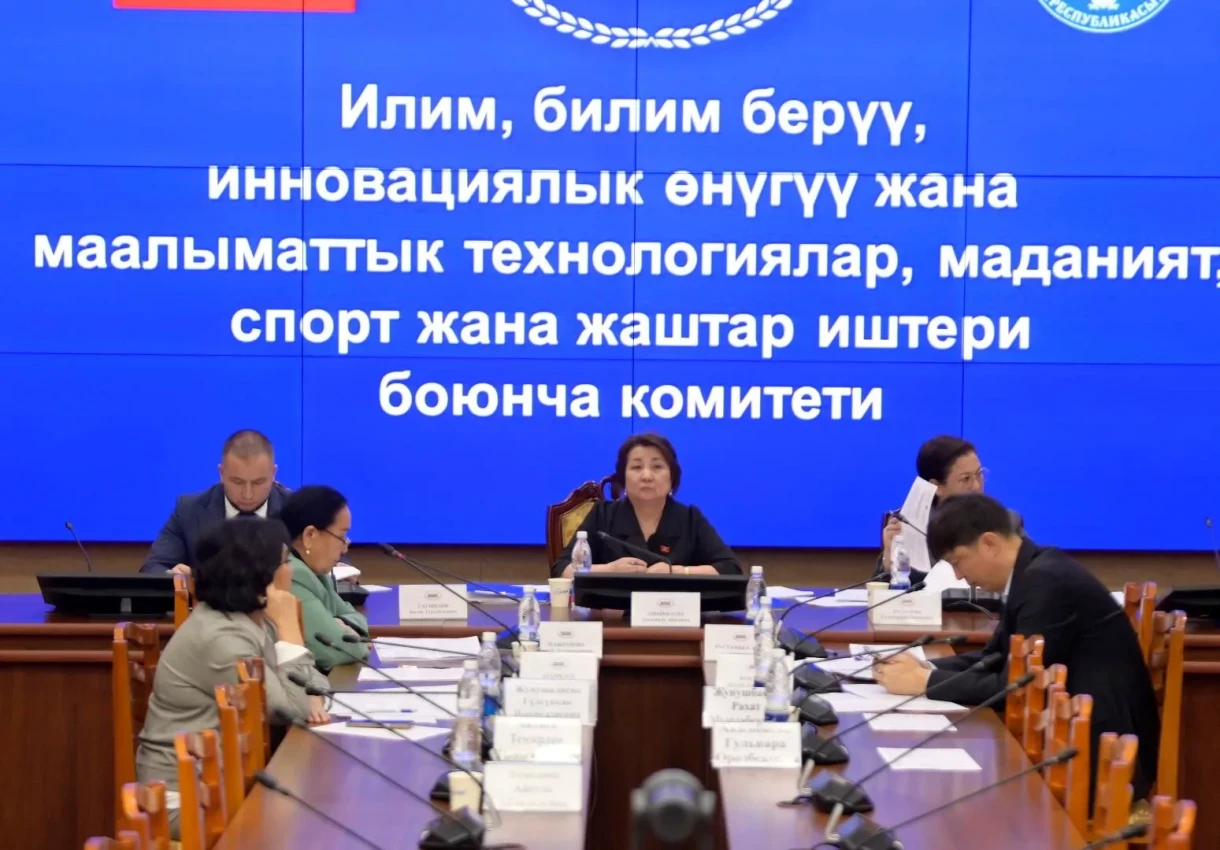 ЖК комитети кішкентайлар үчүн жалпы жарандык паспорт алуу боюнча мыйзамдагы өзгөртүүлөрдү карады