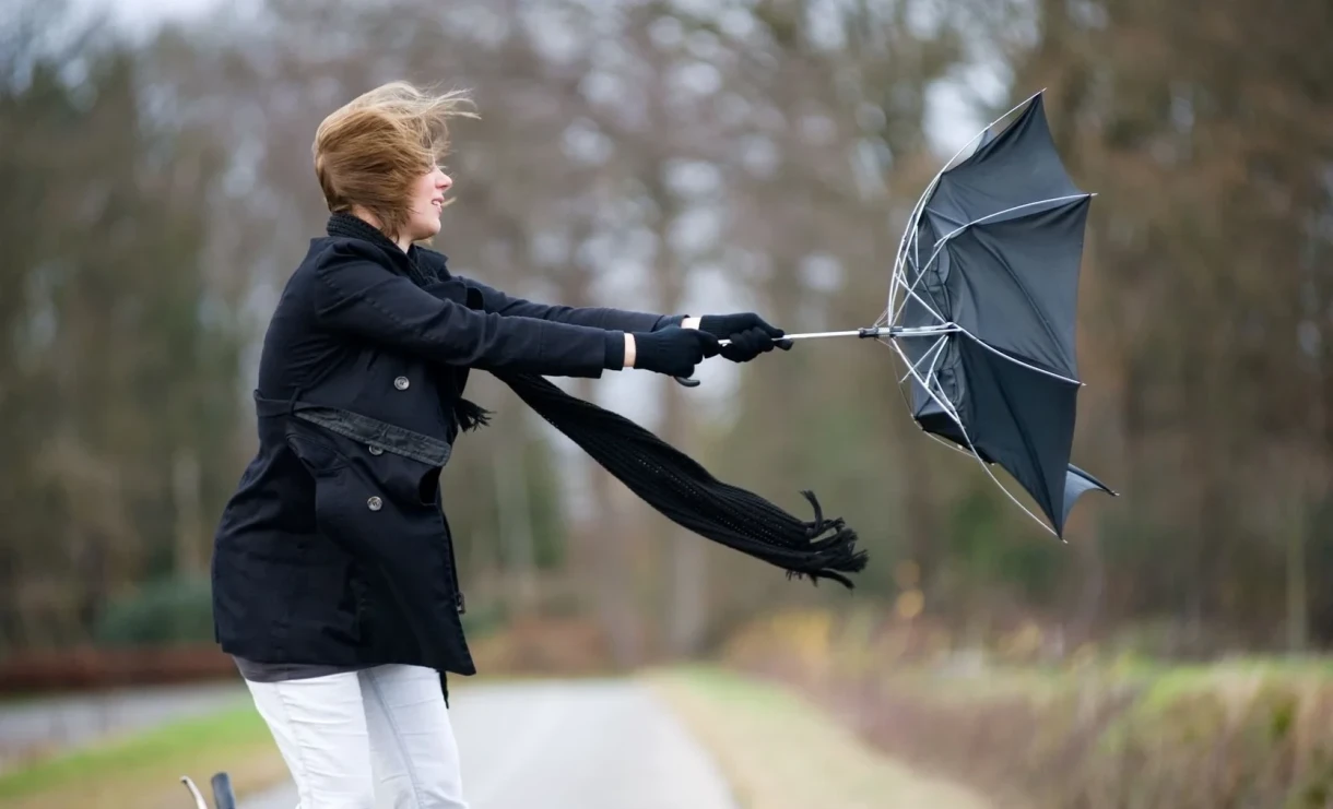 В Бишкеке и Чуйской области сегодня ожидается сильный ветер