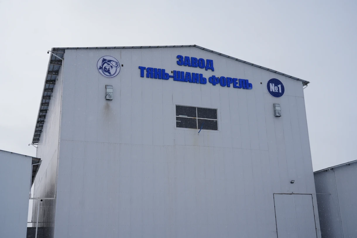 Чүй облусунда балык азыктарын өндүрүүчү завод ачылды. Негиздөөчү сапаты тууралуу ушактарга жооп берди.