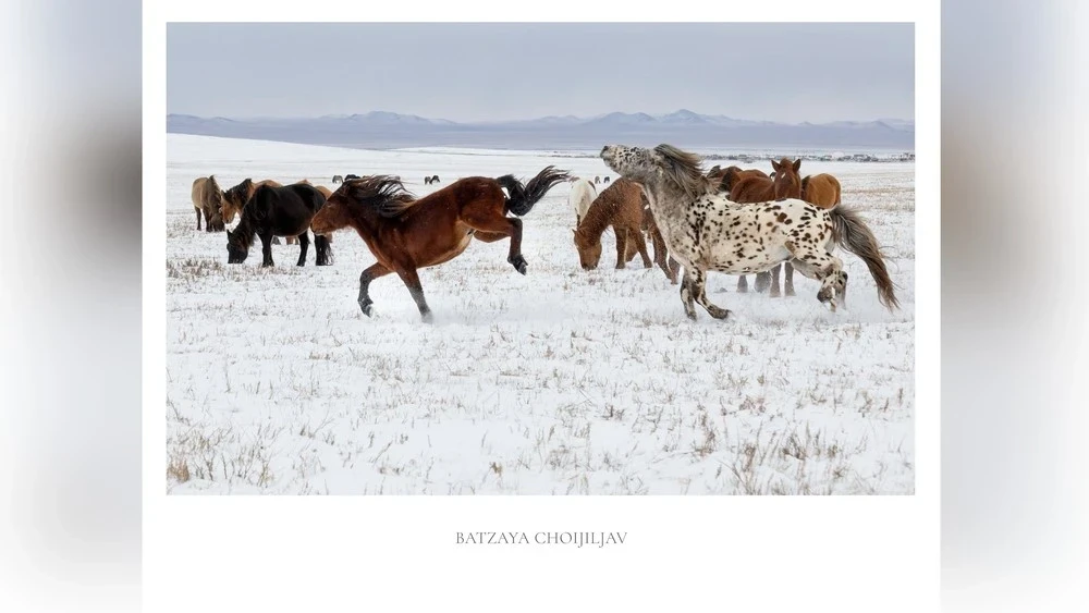1-мартта Монголиянын кээ бир аймактарында абанын температурасы -35°C ден -40°C ге чейин өзгөрүп турат