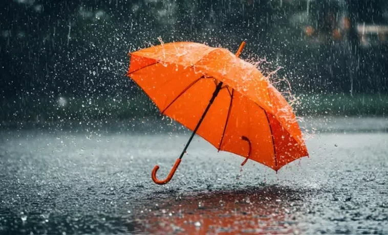 Кийимиңиздерди жылуу кийинип, чатырыңызды алыңыздар: 3-мартка болгон аба ырайынын божомолу