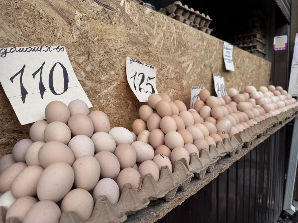 Неге Кыргызстанда жумурткалар "алтын" болуп калды? Үч себеп аталды