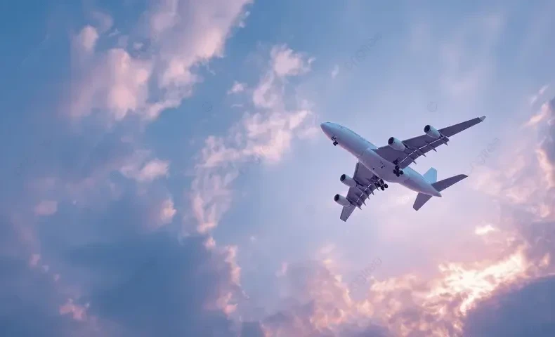 Кыргызстанга 4-марттан 5-мартка караган түнү 360 кыргызстандык кайтып келет, МИДте такташты