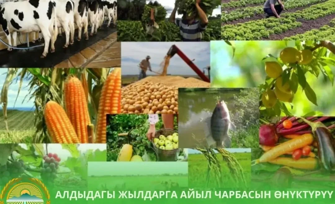 Approved plans for the development of crop production, horticulture, and cooperation for the coming years