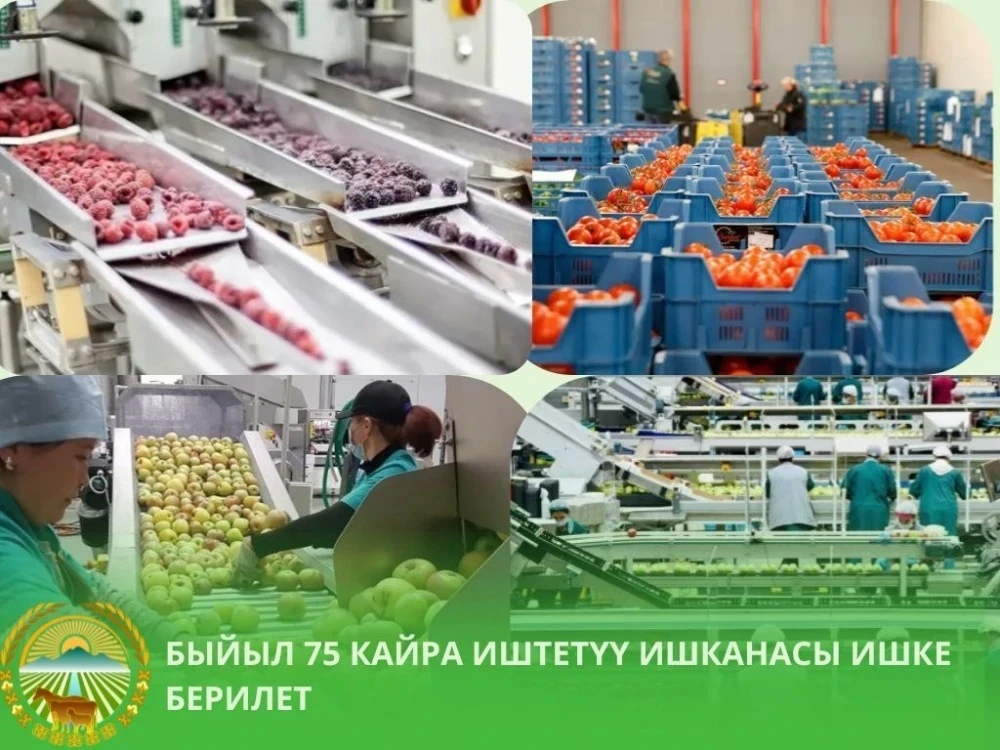 2026-жылы Кыргызстан боюнча 75 кайра иштетүүчү ишкана ачылат