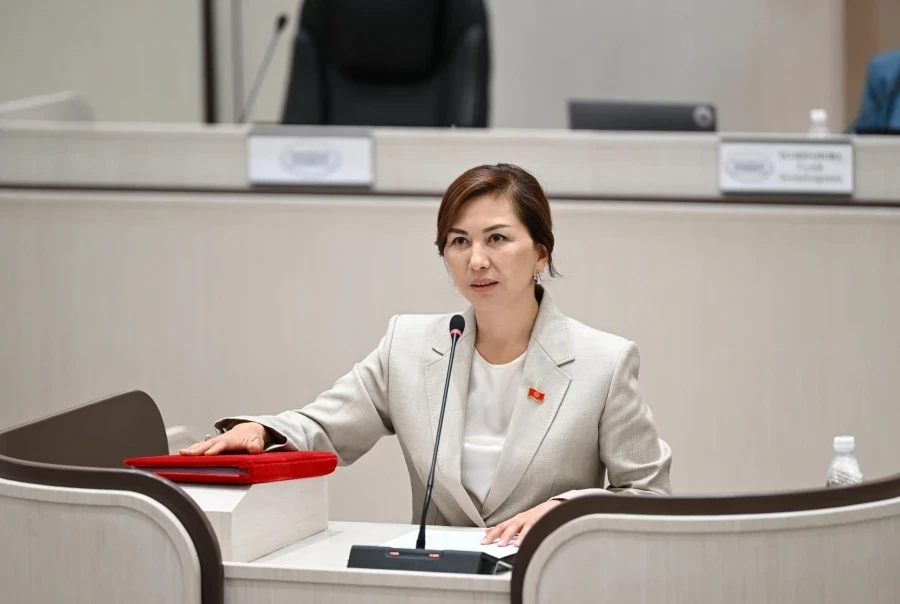 Парламентте Казакстан менен чек арада жергиликтүү экспортчулардын кыйынчылыктары тууралуу маселе көтөрүлдү