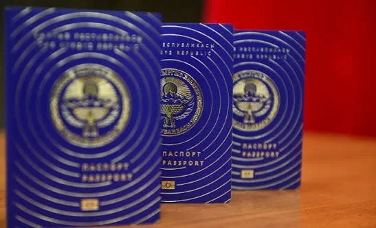 The State Duma adopted a bill simplifying the issuance of passports for children under 16 in the first reading.