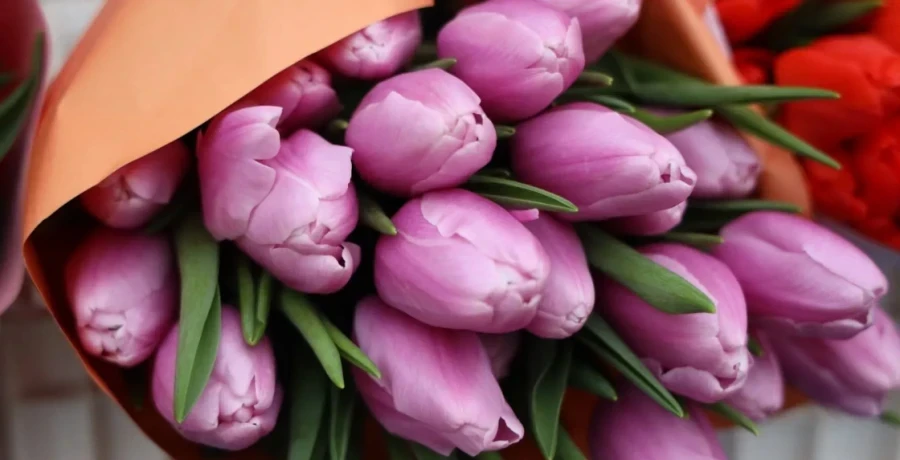 In Uzbekistan, the demand for flowers from Kyrgyzstan has increased