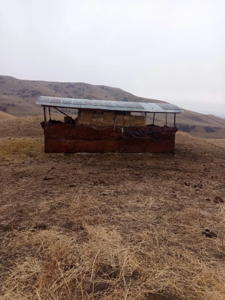 The Ministry of Agriculture identified illegal seizure of pastures in the village of Kyzyl-Tuu