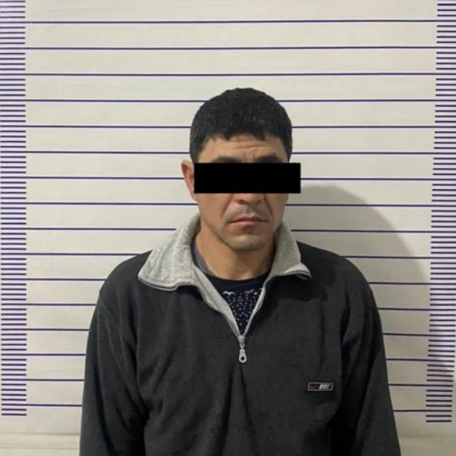 В Чуйской области мужчина избил жену и несовершеннолетнего сына