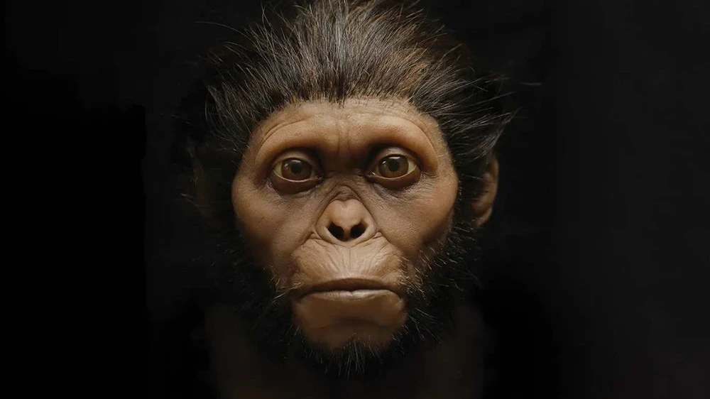 Scientists have digitally reconstructed the face of a human ancestor aged 3.67 million years.