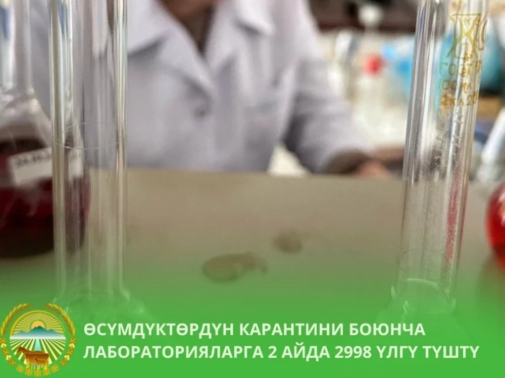 Nearly 3000 samples of agricultural products have been tested in laboratories of the KR