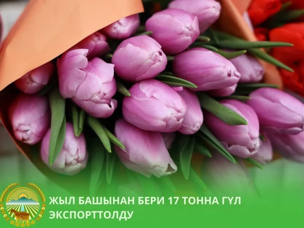 Export of Flowers from Kyrgyzstan Has Increased Almost Twice in the Last Year