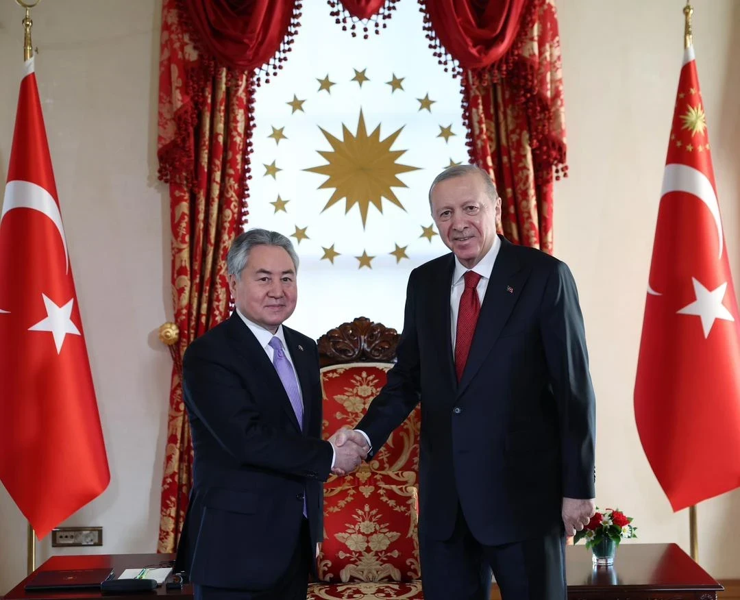 ОТГ өлкөлөрүнүн тышкы иштер министрлери Түркиянын президенти Эрдоган менен жолугушту