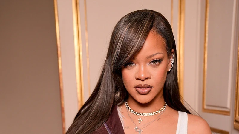 В Лос-Анджелесе обстреляли особняк Рианны. Певица была дома, она не пострадала