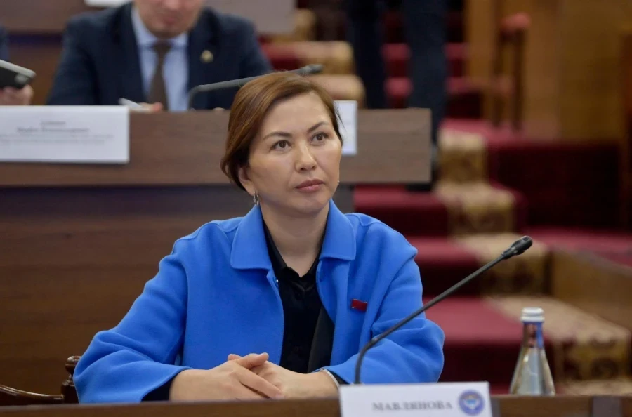 Депутат Жогорку Кенеши көмүрдү экспорттоого каршы чыкты