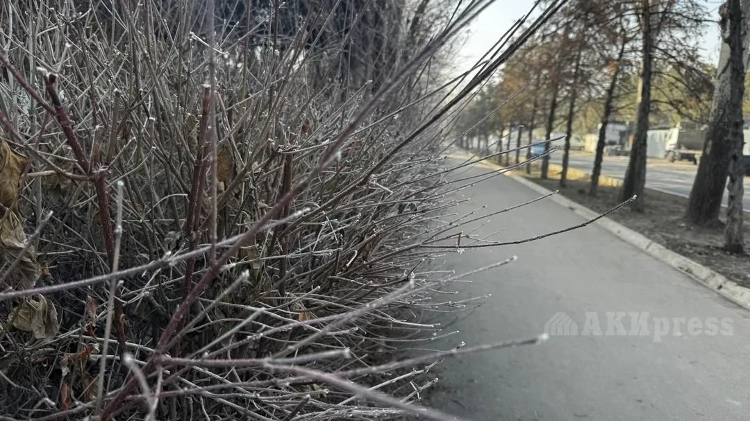 В Таджикистан пришло похолодание, местами ожидается снег