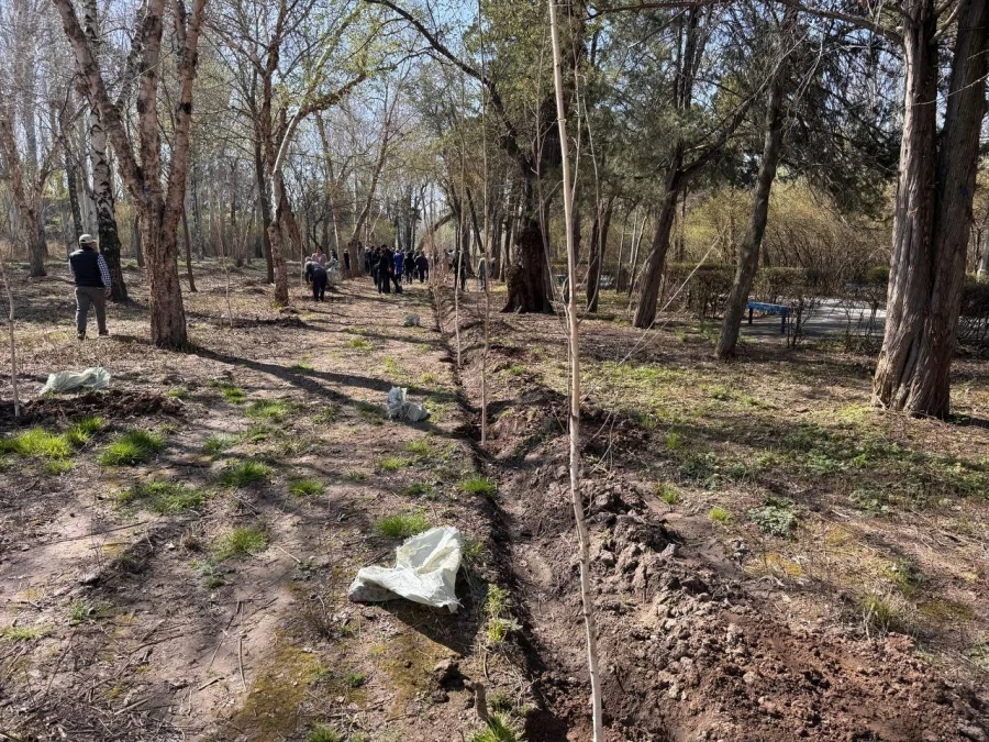В Кыргызстане посадят 9 млн деревьев