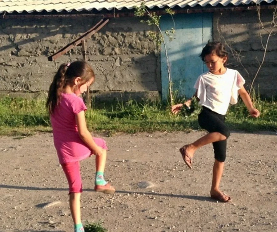 Сентябрдан тарта Физкультура академиясында "лянгу" сабагын окутууга баштоосу мүмкүн