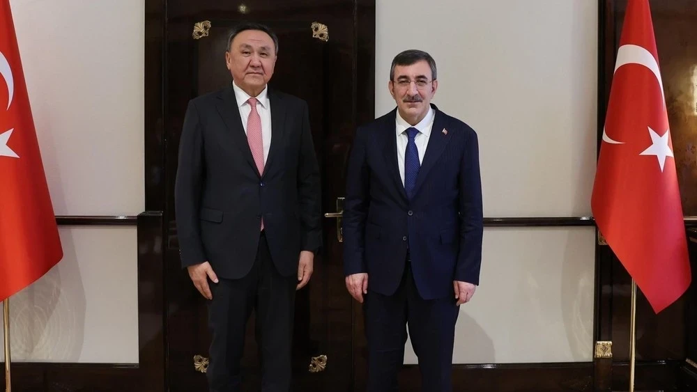 Генсек ОТГ обсудил с вице-президентом Турции укрепление сотрудничества