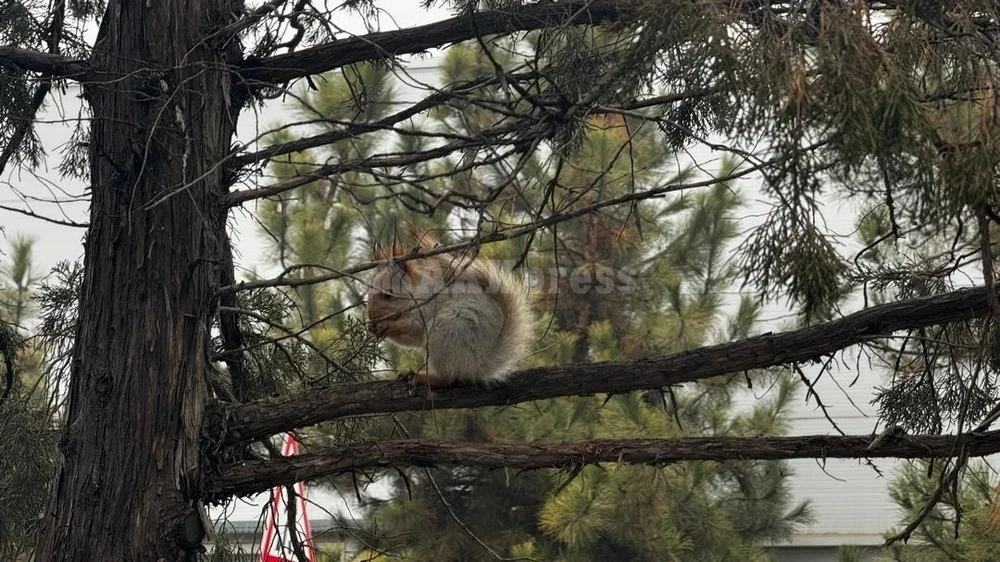 В ближайшие дни по всему Казахстану потеплеет
