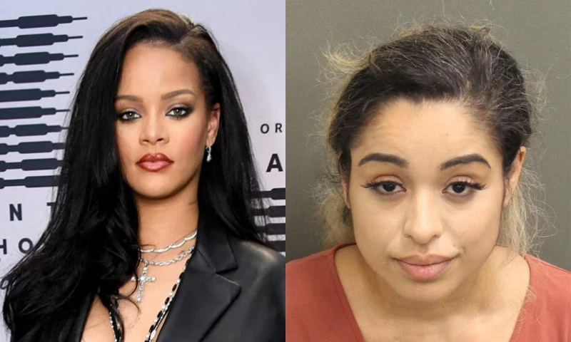 Стрелявшую в дом певицы Рианны женщину обвинили в покушении на убийство