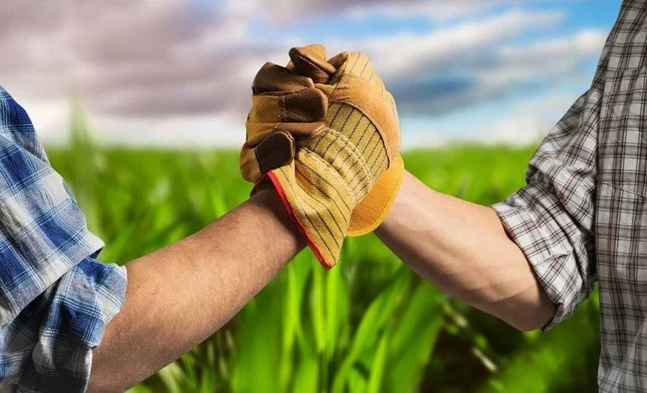 Минсельхоз айыл чарбасын модернизациялап, өлкөдө кооперацияны өнүктүрүүдө