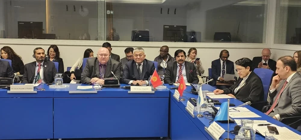 ШОС жана БУУ жаңы түрдөгү наркотиктерге каршы күчтөрүн бириктирүүдө