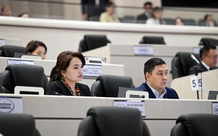 Депутаттар КР жана РК чек арасындагы өткөрмө пункттары боюнча келишимге өзгөртүүлөрдү киргизүү тууралуу мыйзам долбоорун кабыл алышты